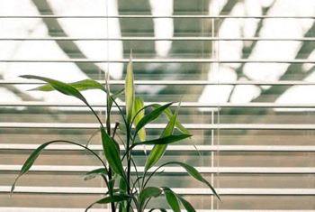 NEW Faux wood Blinds